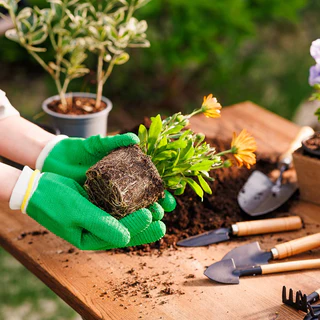 Gardening